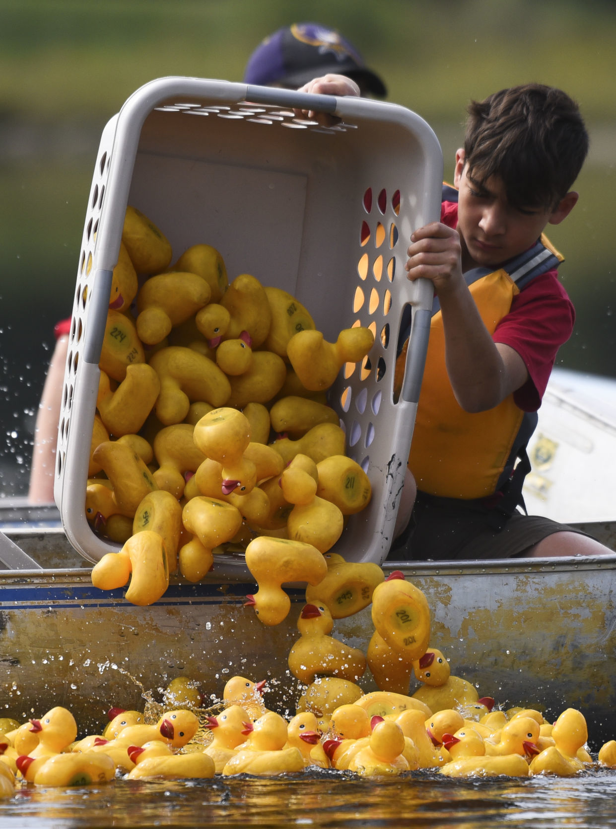 Rubber Duck Regatta